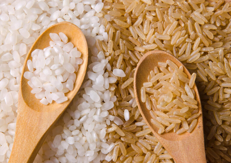 Lee más sobre el artículo El arroz, ¿refinado o integral?